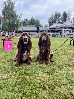 2025 08 17 Dogshow Rotterdam foto 1