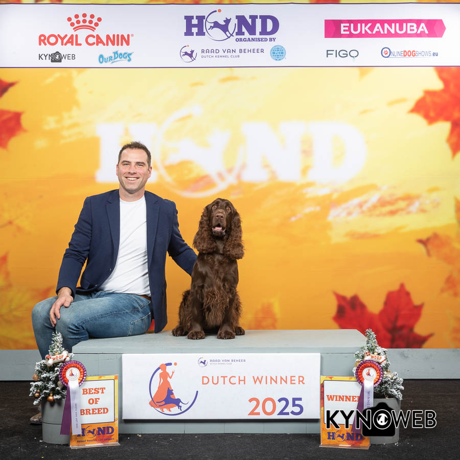 2025 11 30 Dutch Winner Show Leeuwarden BOB Lexi