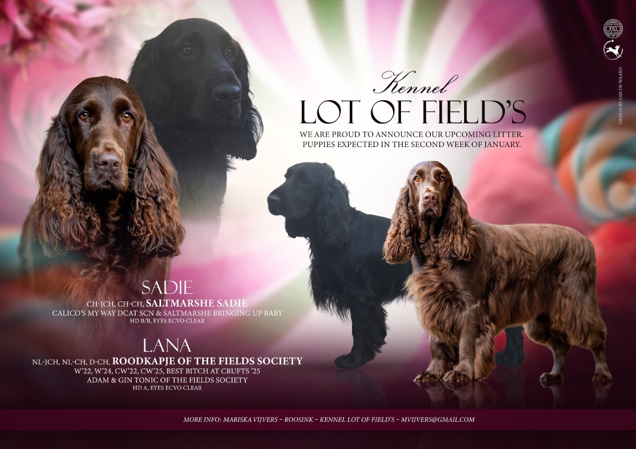 2025 12 16 Sadie Lana verkleind